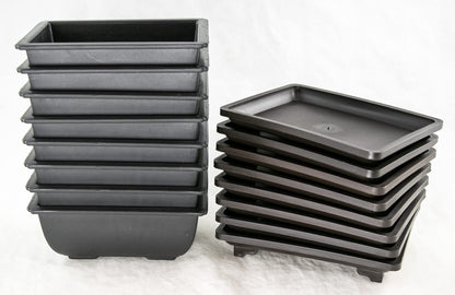 8 Sets Rectangular Plastic Shohin Bonsai Training Pot, Cactus & Succulent Planter + Tray 5 inches x 3.5 inches x 2 inches , Black