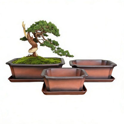 KyoYi Bonsai Pots with Drainage Tray - Set of 3-10/8/6 Inch Ceramic Rectangle Planters with Classic Retro Design - Indoor-Outdoor Plant Pots for Home & Office Table Top Decor, Gifts, Brown