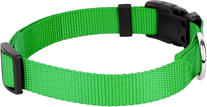Country Brook Petz - Everyday Nylon Dog Collar and Leash - 10+ Cool Colors (3/8 Inch, 2XS, Hot Lime Green)