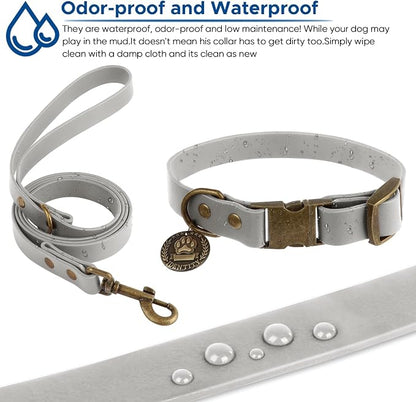 Wisedog Waterproof Dog Collar and Leash Set, XL, Grey | Adjustable Puppy Collar, Cute Tag, 6FT Dog Leash, Poop Bag Included, For Small Medium Large Dogs
