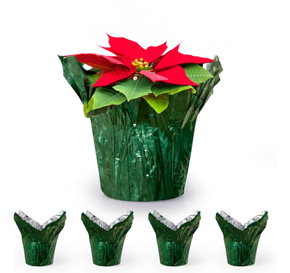 the florist Supply 6” AZA Plant Pot Covers, Decorative Plant Sleeve for Indoor & Outdoor House Plants, Reusable and Gift-Ready Foil Wrap for Flower Pots, Evergreen, Pack of 5