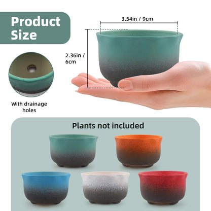 ginojex Small Ceramic Garden Pots Succulent Plant Planter Container with Drainage Set of 5 for Home Office Decor