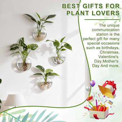 onepeng 4Pcs Wall Hanging Planter Propagation Stations Glass Terrariums Vase for Hydroponics Plants, Bathroom, Home Office Living Room Decor Gift