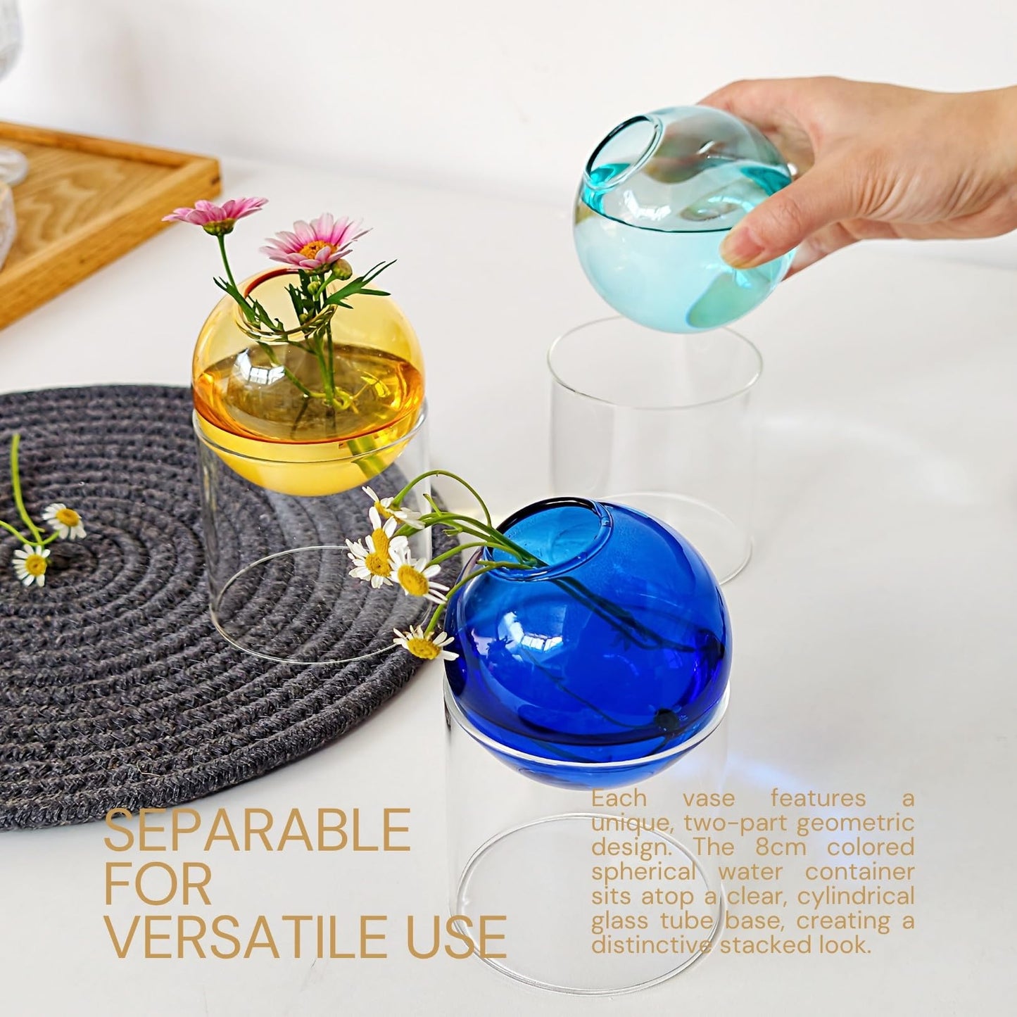 3-Pack Plant Propagation Station, Geometric Glass Vase Set | Mini Flower Vases & Planter Terrariums for Tables