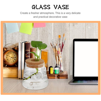 SOLUSTRE 2pcs Glass Hydroponic Plant Vases with 6.5cm Opening, Glass Terrarium for Water Propagation, Small Desktop Home and Office Garden Decoration