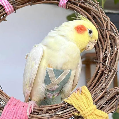 Bird Flight Suits Diapers, Parrot Flight Suits Diapers for Quaker Parakeets Cockatiels Conures Macaw African Grey, Bird Diaper, Parrot Clothes (Pink A,2M)