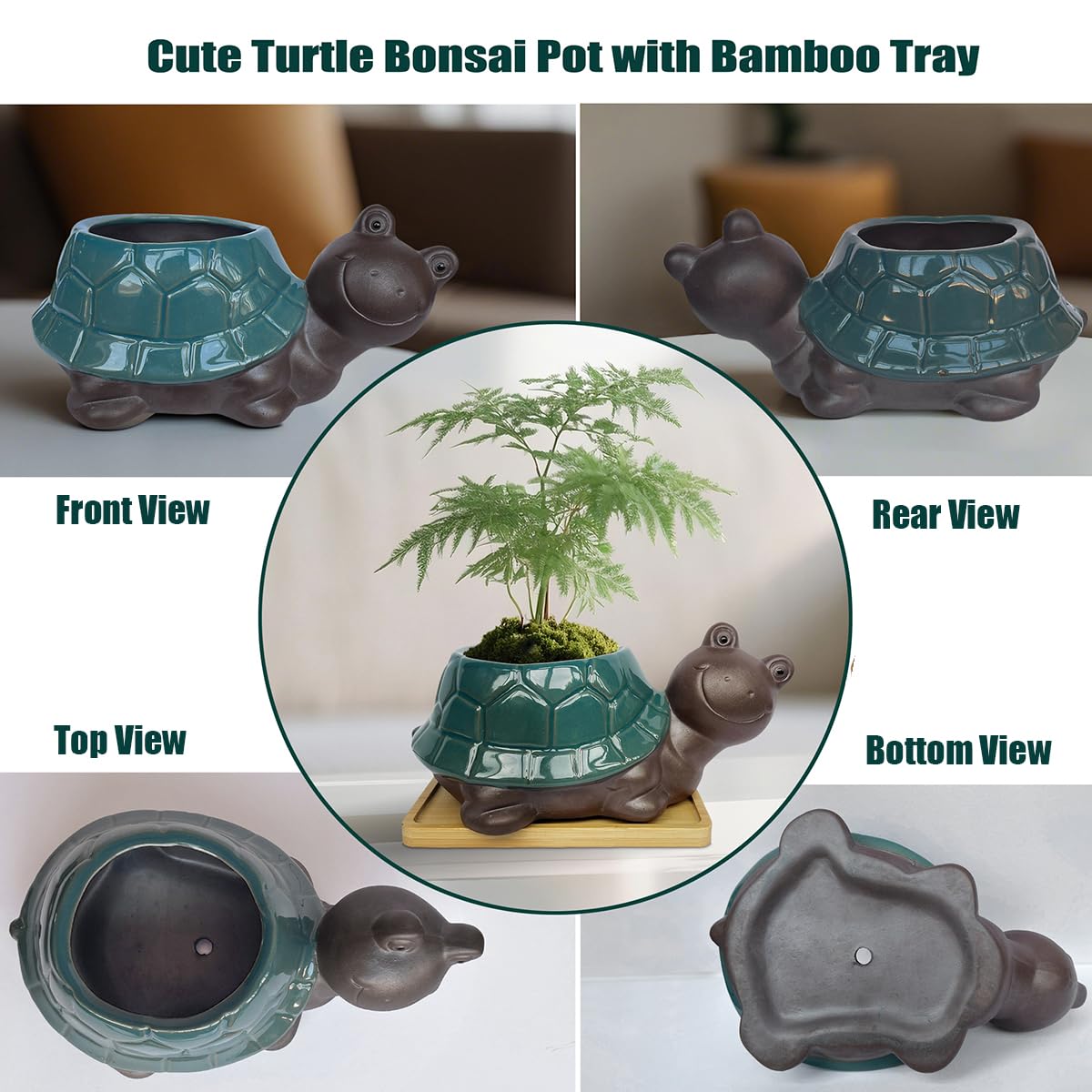 MUZHI Ceramic Bonsai Pot with Bamboo Tray SmilingTurtle Shape, Cute and Funny Animal Plant Pot with Drainage Hole, Art Desk Decorations and Gift
