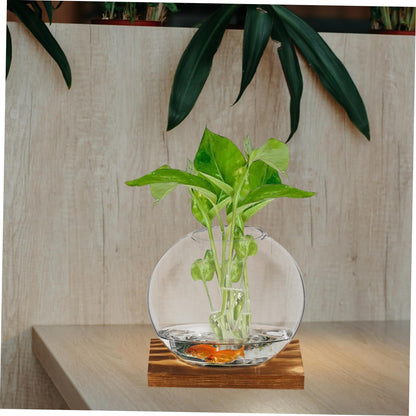 HANABASS 2sets Hydroponic Glass Planter Decorative with Eucalyptus Base for Home Office for Plant Propagation Display Clear Design for Elegant Decor