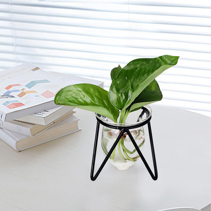 Garneck 6pcs Black Metal Stand Hydroponic Glass Flower Vases Set, Modern Small Desktop Plant Terrarium for Home Décor and Indoor Water Plants