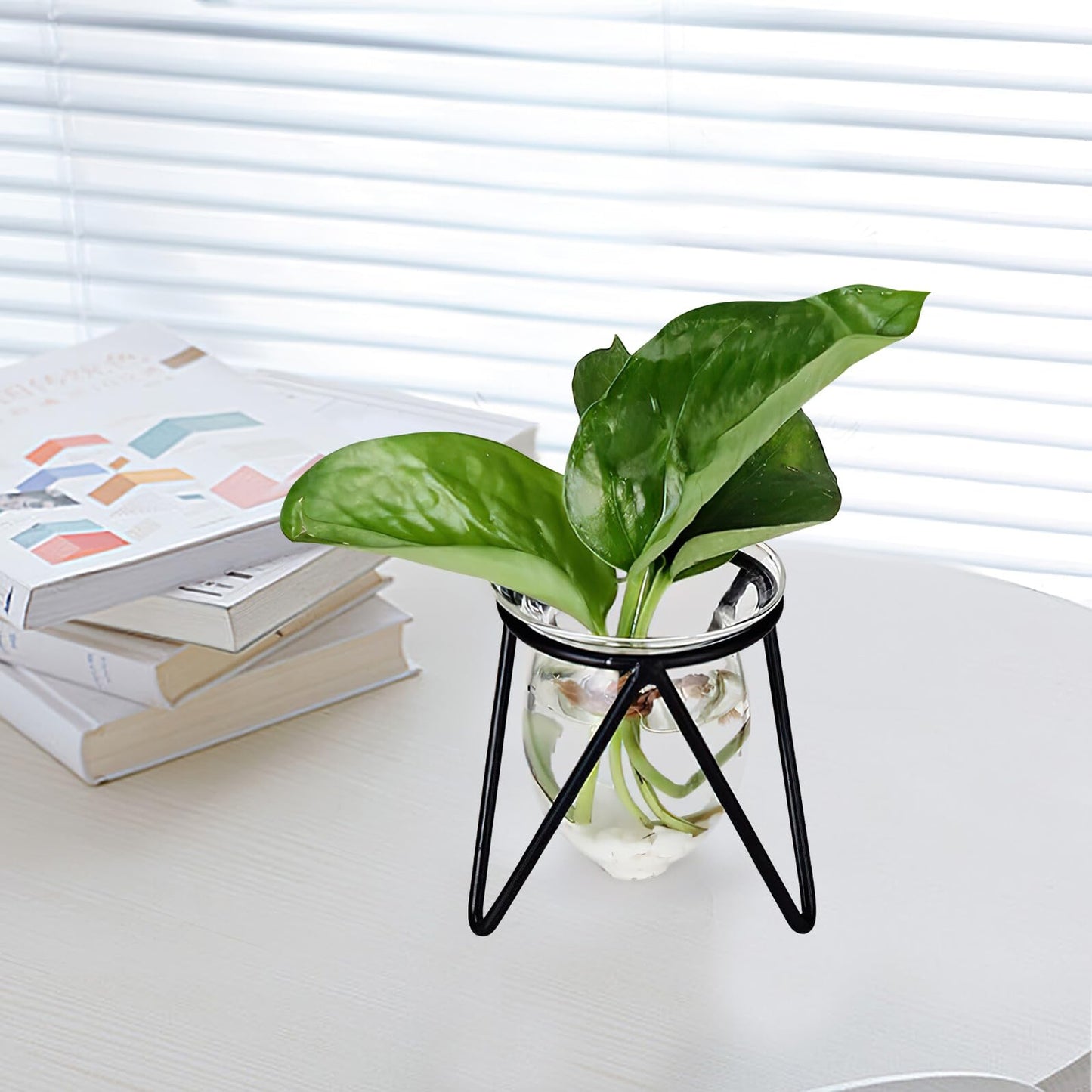 Ipetboom 6pcs Black Iron Art Hydroponic Glass Vases Small Terrarium Plant Holders for Home Decoration Desktop Water Containers