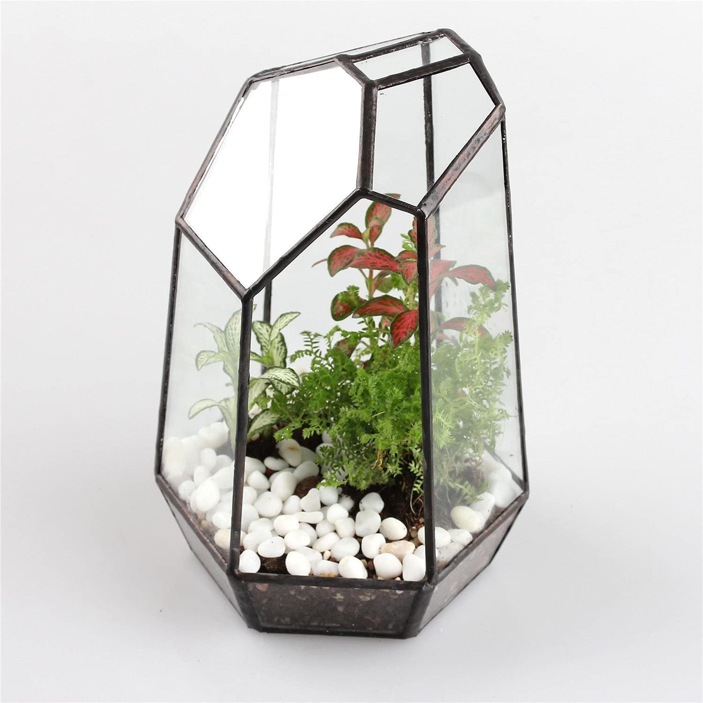 NCYP Small No Door Glass Geometric Terrarium - 4.9 x 3.9 x 7.4 Inches Irregular Clear Terrarium Pot for Mini Succulents, Small Cactus, Indoor Garden Tabletop Decoration (No Plants)