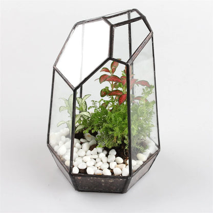 NCYP Small No Door Glass Geometric Terrarium - 4.9 x 3.9 x 7.4 Inches Irregular Clear Terrarium Pot for Mini Succulents, Small Cactus, Indoor Garden Tabletop Decoration (No Plants)