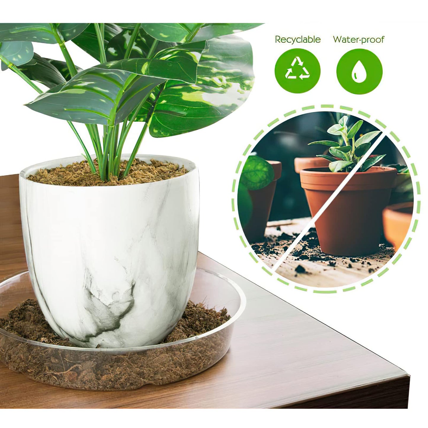 Kingrol 40 Pack Plant Saucers for Pots, 4 Sizes Plant Drip Trays (6/8/10/12 Inch), Lightweight Flexible PET Plant Pot Saucer for Indoor Outdoor Plants, Clear Flower Pot Tray