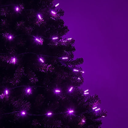 Wintergreen Lighting 24 ft M5 LED Purple Halloween Lights, 70 Count, Indoor/Outdoor, Commercial Grade, Green Wire
