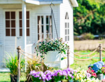 Melphoe 2 Pack Self Watering Hanging Planters Indoor Flower Pots, 6.5 Inch Outdoor Hanging Plant Pot Basket, Plant Hanger with 3Hooks Drainage Holes for Garden Home