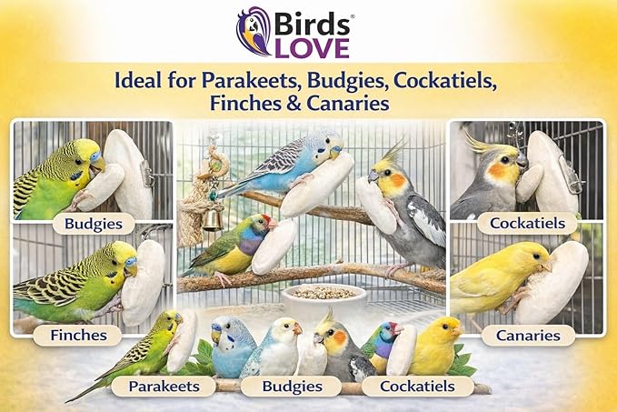Birds LOVE 5.5-6″ Cuttlebone for Birds – 100% Natural Sun-Dried Calcium & Beak Conditioning Supplement for Parakeets, Budgies, Cockatiels, Finches & Canaries – 3 Pack with Holder – Made in Vietnam