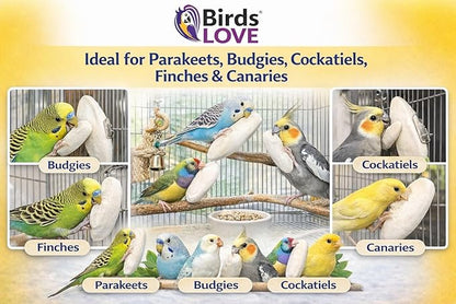 Birds LOVE 5.5-6″ Cuttlebone for Birds – 100% Natural Sun-Dried Calcium & Beak Conditioning Supplement for Parakeets, Budgies, Cockatiels, Finches & Canaries – 2 Pack with Holder – Made in Vietnam