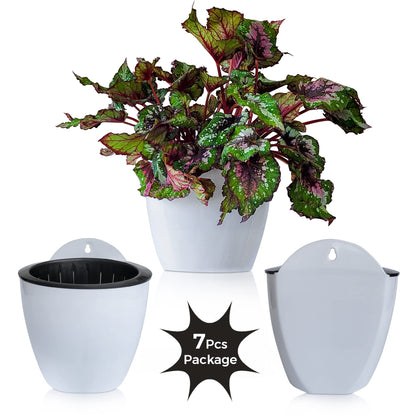 ShoppeWatch Wall Planters for Indoor Plants 7 Pack | Hanging Planters Large 7 Inch with Hooks | Wall Pots for Plants | 7.28 x 6.1 inches - PL35