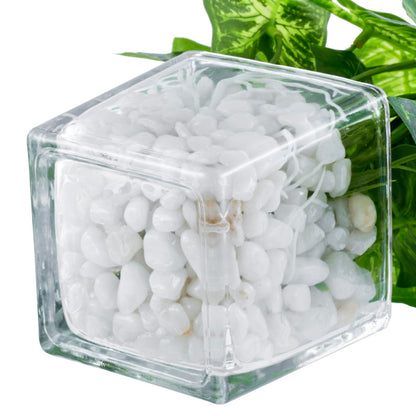 MyGift Artificial Clover and Taro Plants in Clear Glass Vase with Decorative White Stones, Set of 3