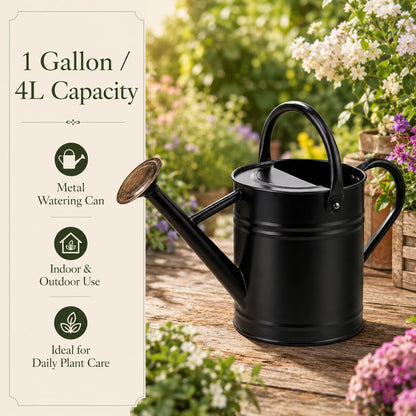 1 Gallon Metal Watering Can for Indoor Outdoor Plants, Galvanized Steel Watering Can with Removable Spout, 2 Stainless Steel Handles, Garden Flower Watering Pot