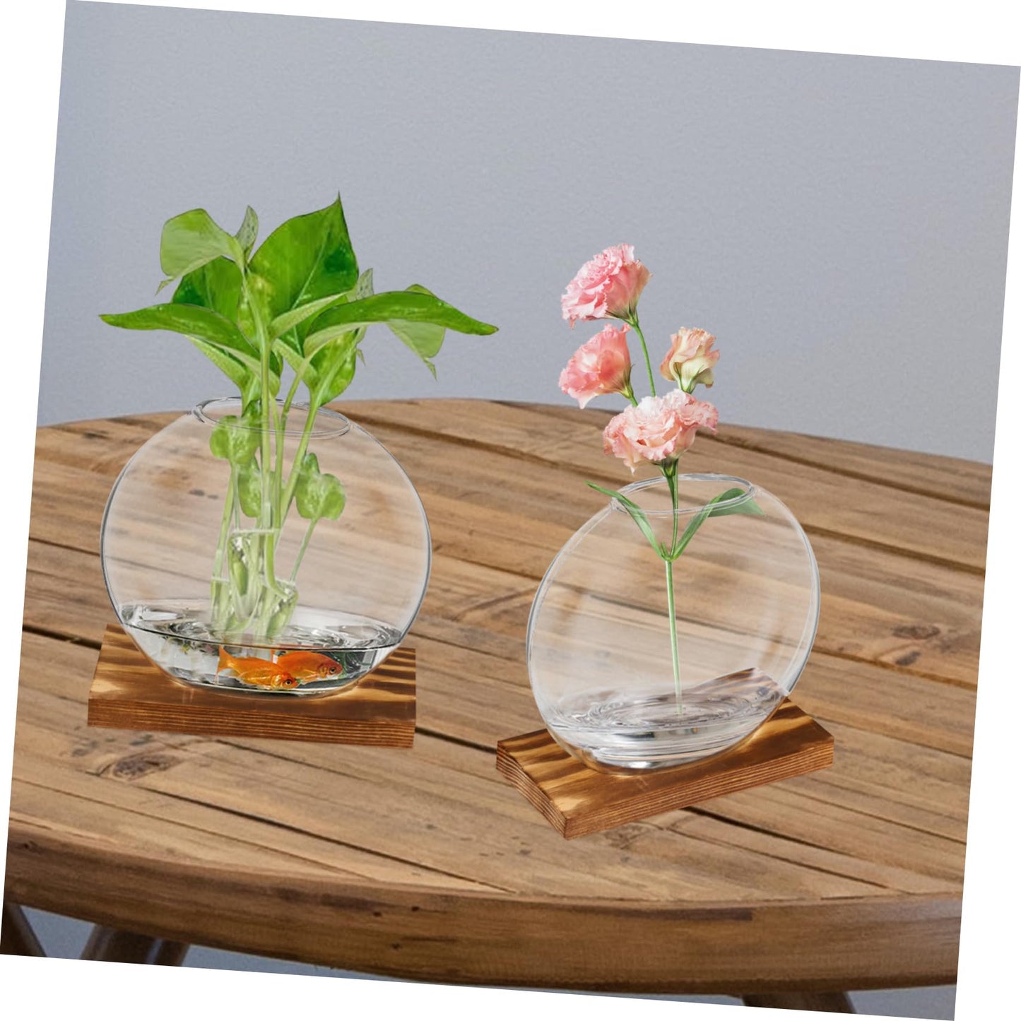 HANABASS 2sets Hydroponic Glass Planter Decorative with Eucalyptus Base for Home Office for Plant Propagation Display Clear Design for Elegant Decor