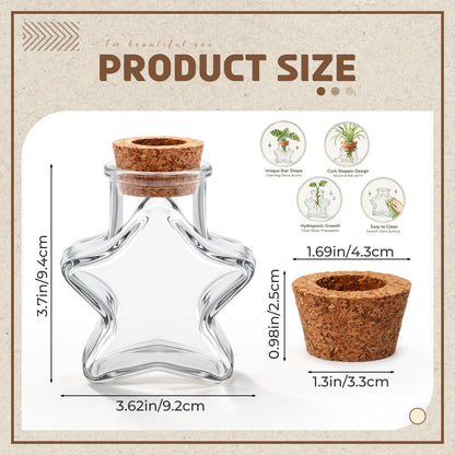 Threehoney 6 Pack Propagation Vases for Plants Glass Plant Propagation Station with Hole Lid Star Shape Hydroponic Vases Plant Growing in Water Hydroponic Home Office Table Decoration