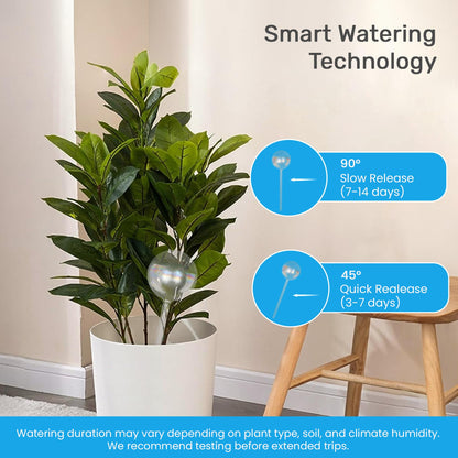 Little Green Leaf Automatic Plant Watering Globes Self Watering Planter Inserts (Set of 4) | Hands Free Clear Glass Bulbs | Planter Spikes to Support Indoor & Outdoor Plant Health (200ml)