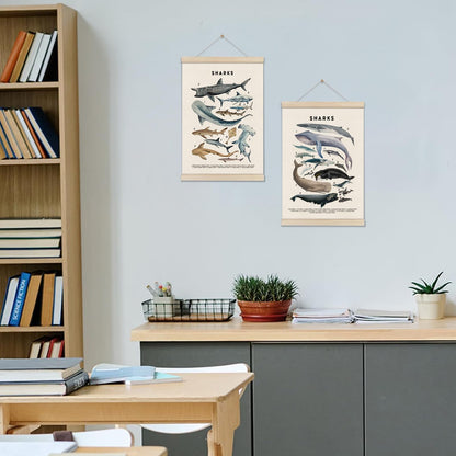 DOI-LANEE Shark Poster Hanger Frame, Set of 2 Shark Canvas Wall Art 16x12 Inch, Kids Educational & Learning Posters, Ocean Room, Sea Animal Decor for Playroom Classroom, Ocean Animals Wall Decor