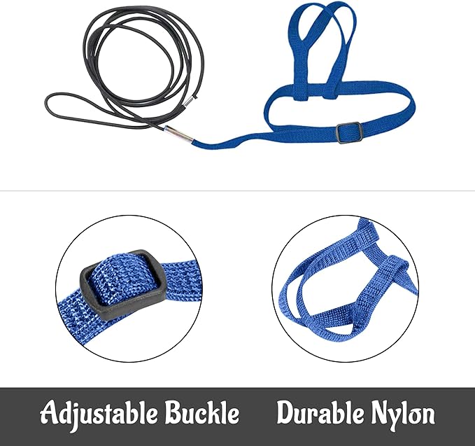 2 pcs Pet Parrot Bird Harness and Leash, Adjustable Training Design Anti-Bite, Outdoor Flying Training Rope Kit for Bird Parrots Fits Birds Chest Between35-62cm /13.78-24.41inch - L (Blue)