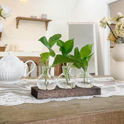 Bettstation Plant Propagation Station, Plants Terrarium with Wooden Stand Bulb Glass Vase Planter Gift for Plant Lovers Home Office Decor