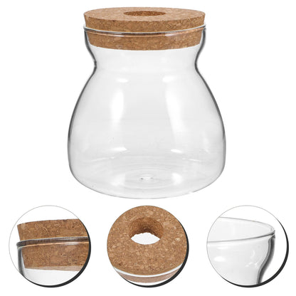 IDEANATEGRATE Glass Plant Jar Hole Lid Micro Landscape Terrarium Container Hydroponic Vases for Desktop Gardening Glass Ecosystem Container (Size)