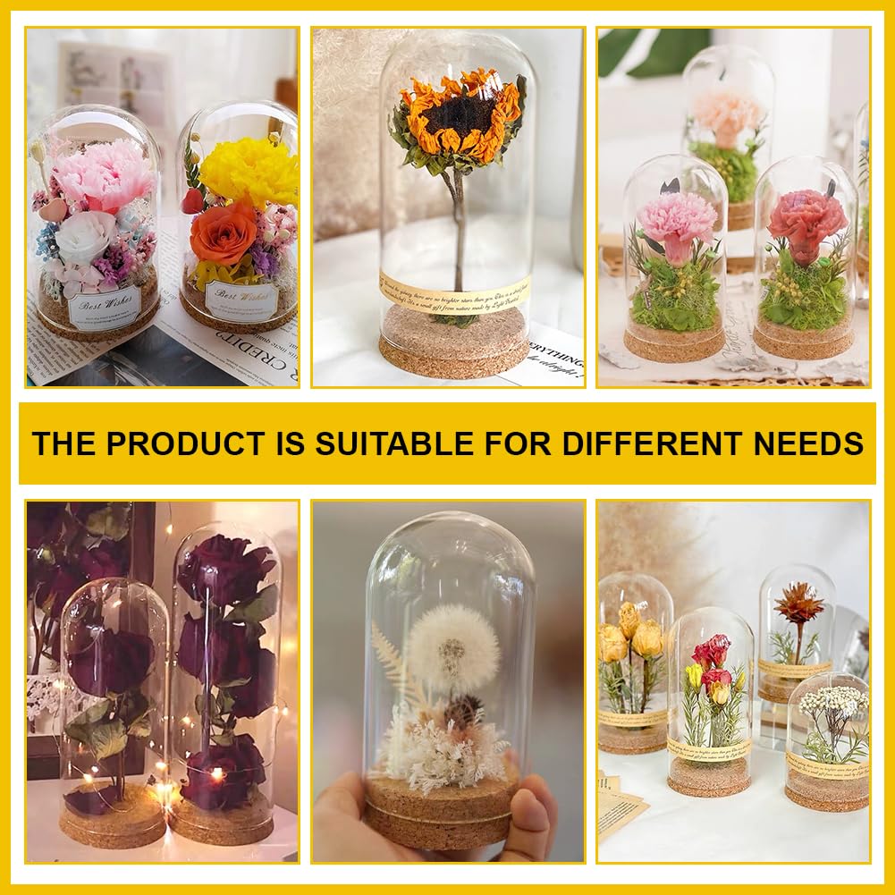 BENECREAT 5x4 Inch Glass Dome Cloche with Cork Base, Glass Dome Decorative Jars, Bell Glass Jars for Flower Valentine's Day Decoration, Inner Diameter: 3.8 Inch