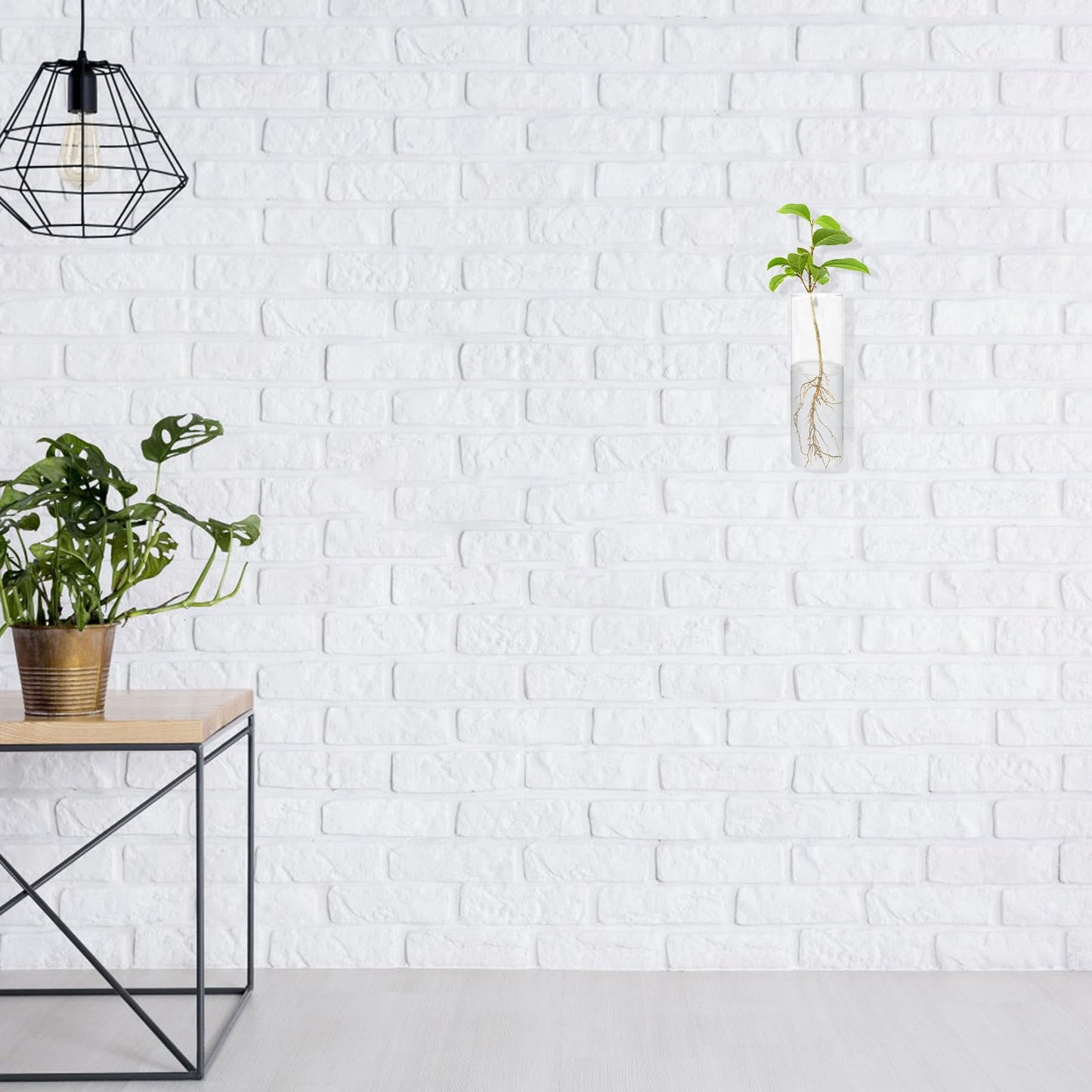 Tofficu Wall-Mounted Glass Flower Vase Set with Cylinder Hydroponic Planter, Tall Glass Plant Terrarium for Balcony Decor and Indoor Wall Display