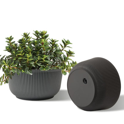 T4U 10 Inch Self Watering Pots for Indoor Plants, 2 Pack Large Plant Pots, Self Watering Planter for Indoor Plants, Durable Plastic Pots (2 Pack,10", Gray)