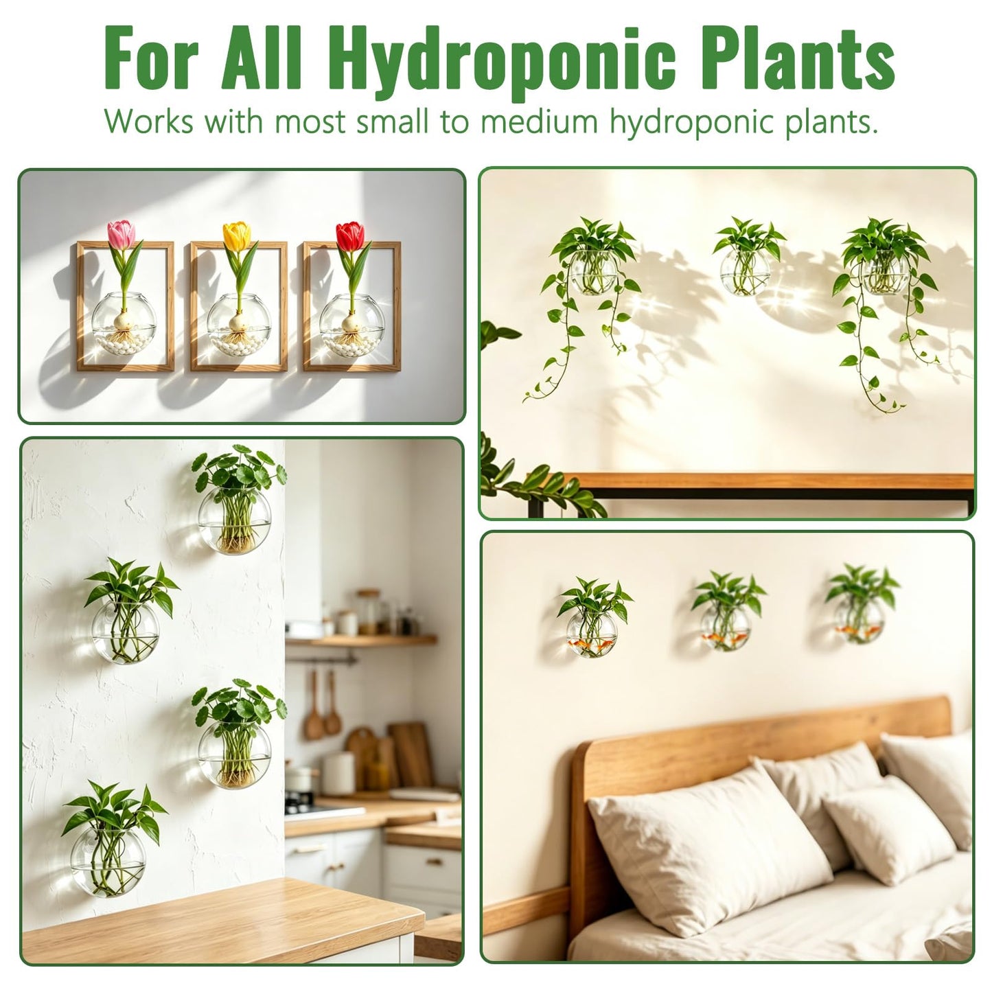 NUPTIO Wall Hanging Planter Terrarium: 4 Inch Glass Air Plant Holder 6PCS Propagation Indoor Floral Vase Flat Round Hydroponic Container Wall-Mounted Floating Pots for Bathroom Balcony Greenhouse