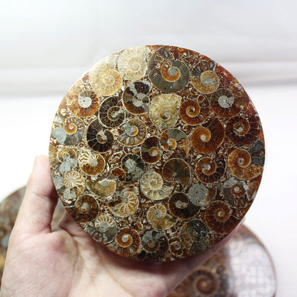 ZHDECOR Natural 11cm Natural Ammonite Shell Plate with Shelf, Mineral from Madagascar Circle Disk, Reiki Crystal Healing Stones Decorations