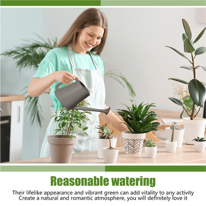 ZXJ Grip Plant Watering Can - for Indoor and Outdoor Home Garden Plants - with Long Spout - Grey - 1/2 Gallon