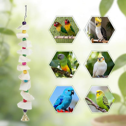 Bird Toys with Cuttlebone, Prevents Destructive Chewing, Grinding Stone for Bird, White, Colorful, 3 Pcs