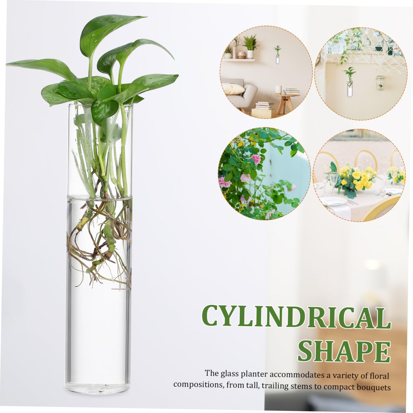 Zerodeko 2pcs Clear Glass Cylinder Wall Vases Sleek Hanging Glass Planters for Hydroponic Terrarium Plants Transparent Wall Mounted Floral Holders with Streamlined Design for Home and