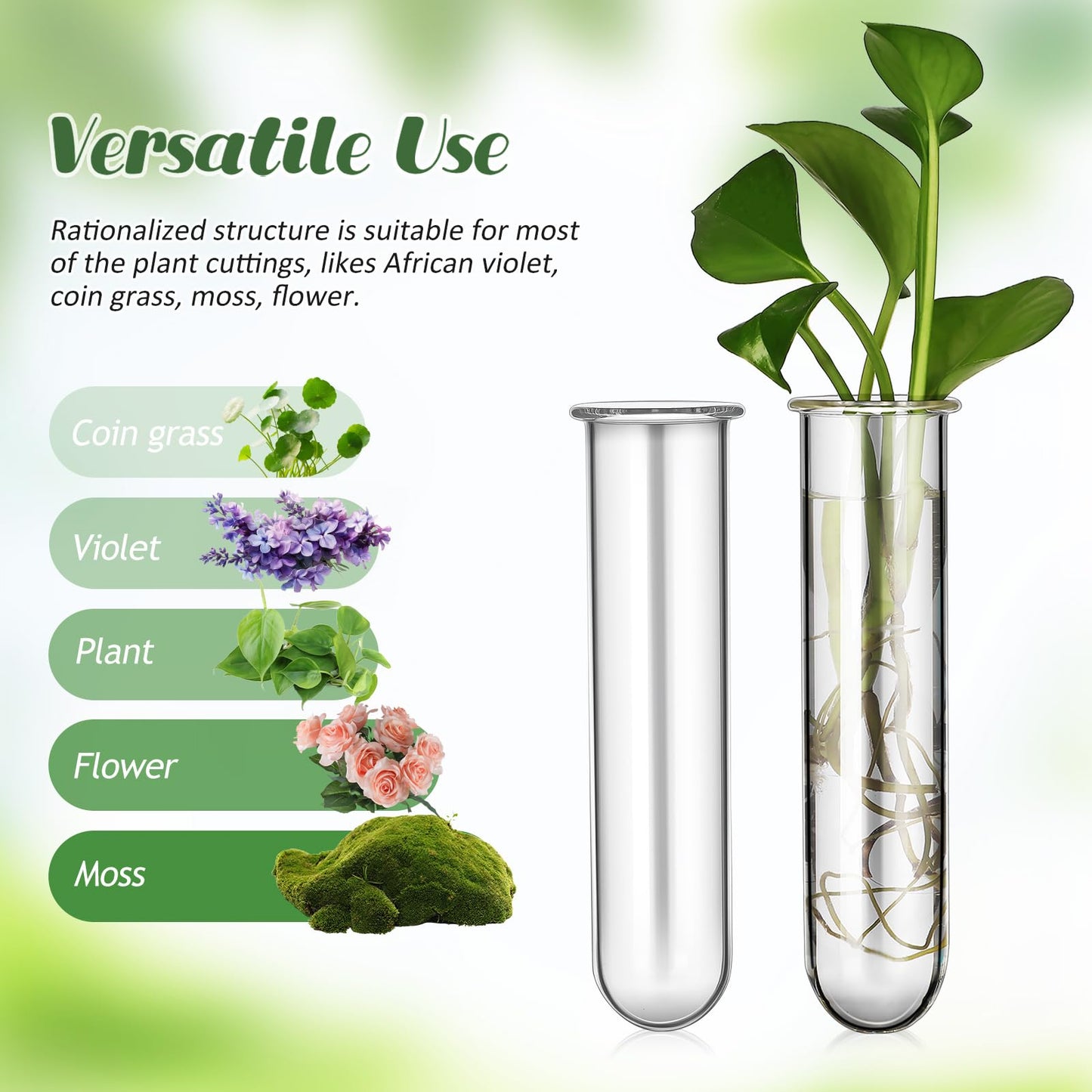 Healvian 5pcs Glass Test Tube Hydroponic Plant Vase Propagation Station for Desk Small Terrarium Flowers Home Décor 2.5x3x11cm