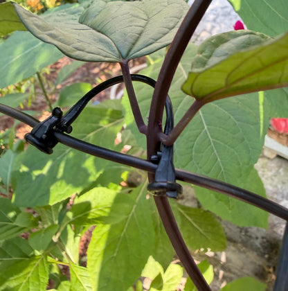 300PCS Raspberry Trellis Clips - Grape Trellis for Grape Vines Support Kiwi Stem Tomato Climbing Plants Vine Clips Grape Ties Garden Plant Support Clips Holder Fruit Buckles Hooks Training Grow Ties