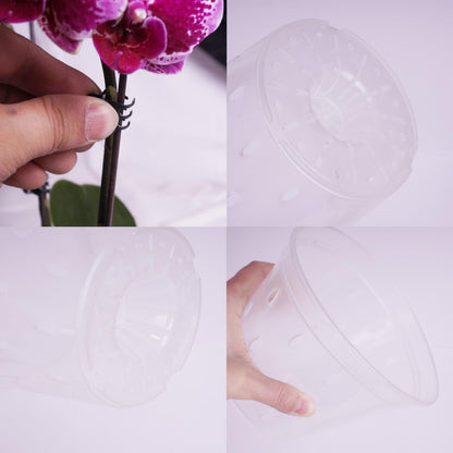 AUGXIXI Orchid Pots, 5.7 Inch 10Pcs Clear Orchid Pots with Holes and Saucers, Plastic Plants Flower Nursery Orchids Drainage Indoor Planter for Planting Repotting