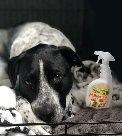 Earthworm Pet Stain Remover & Odor Eliminator - Urine Eliminator Natural Enzyme Formula, Fragrance Free Spray - 22 oz