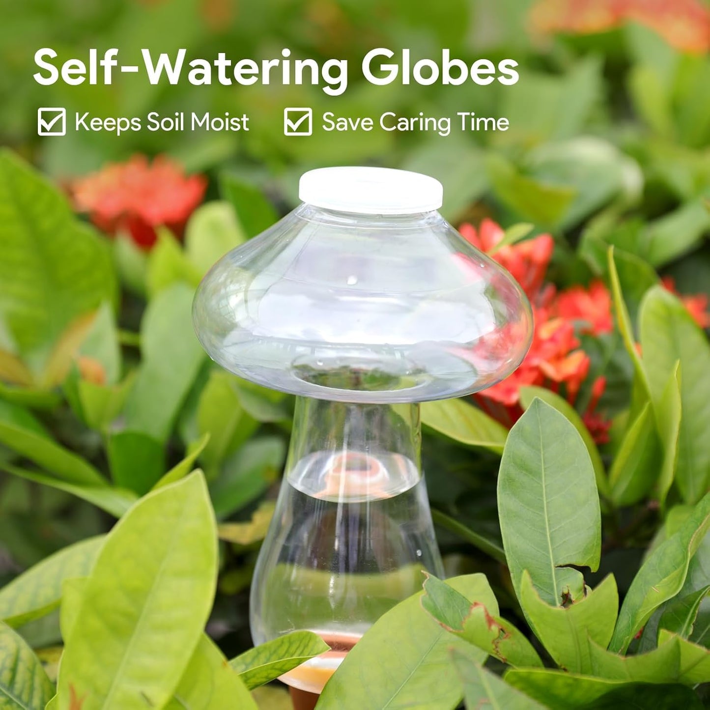 Vytulz 3Pcs Self Watering Globes Mushroom & Wash Bottle,Plant Watering Globes,Self Watering Planter Insert,Automatic Plant Waterer Indoor,Plant Watering Devices,Plant Water Globes,Watering Bulb
