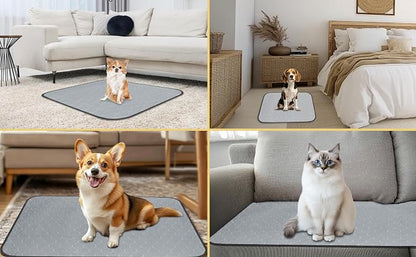 DAHAPYBOO Extra Large Washable Pee Pads for Dogs 65x48,4 Pack | Reusable Puppy Pads for Dogs Non-Slip Waterproof Pet Training Pads for Crate, Playpen, Bed, Sofa,Whelping Box, Potty Training