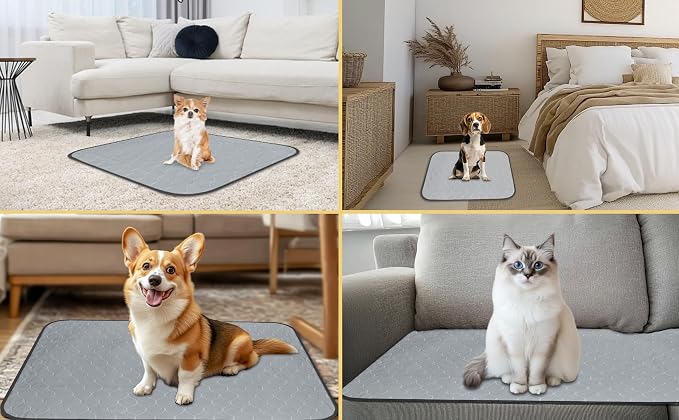 DAHAPYBOO Washable Pee Pads for Dogs 18x24,2 Pack | Reusable Puppy Pads for Dogs Non-Slip Waterproof Pet Training Pads for Crate, Playpen, Bed, Sofa,Whelping Box, Potty Training