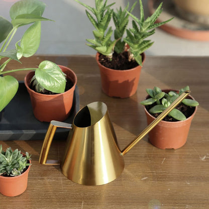 KooingTech Watering Can, 1500ml Stainless Steel Long Spout Watering Cans, Gold Water Can Suitable for Potted Plants, Hanging Plants, and Outdoor Gardens