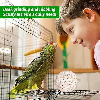 6 Pieces Bird Parrot Chew Toy Sola Balls, Natural Parrot Soft Chew Shredding & Foraging Toy, Bird Foot Balls for Cockatiel Conure Quaker Budgie Parakeet Bunny Guinea Pig Chinchilla Rabbit