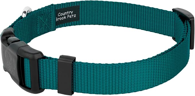 Country Brook Petz - Everyday Nylon Dog Collar and Leash - 10+ Cool Colors (1 Inch, Extra Large, Teal)