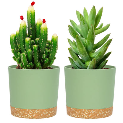 QCQHDU 5 inch Plant Pot, 2 Pack Planters for Indoor Plants with Drainage Holes & Saucer, Outdoor Flower Pots Home Garden Modern Decor